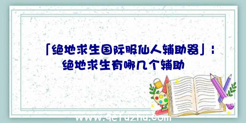 「绝地求生国际服仙人辅助器」|绝地求生有哪几个辅助